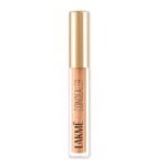 LAKMÉ Powerplay Priming Concealer Built In Primer